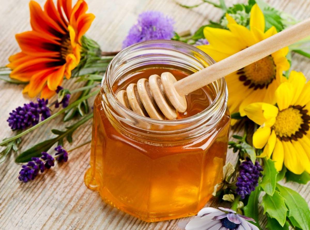 Miele, il dolce e naturale elisir di salute: tutte le proprietà e i benefici del leggendario “nettare degli dei”