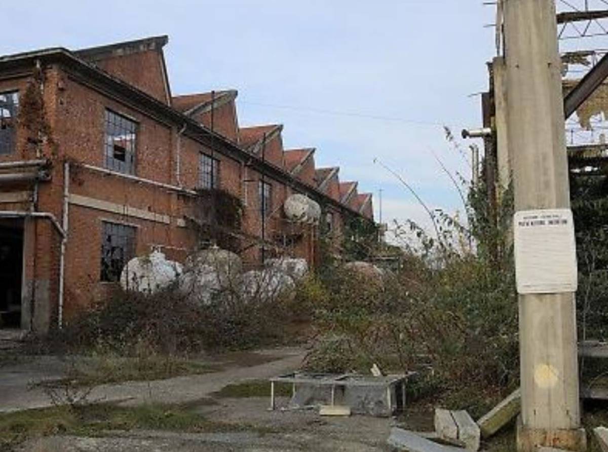 Cirié, 1,7 milioni di euro per la forestazione urbana dell’ex Interchim: nasce il progetto “I colori della memoria”